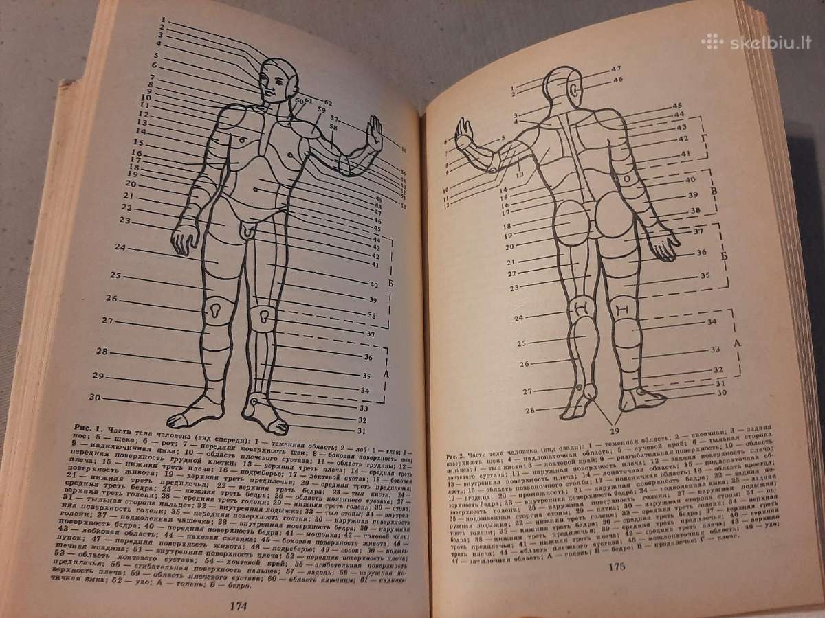 Teismo medicininė ekspertizė - nuotraukos Nr. 5