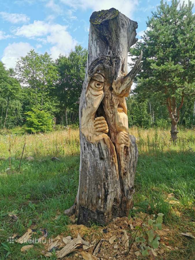 Medžio skulptūros. Kiemo drožiniai - nuotraukos Nr. 25