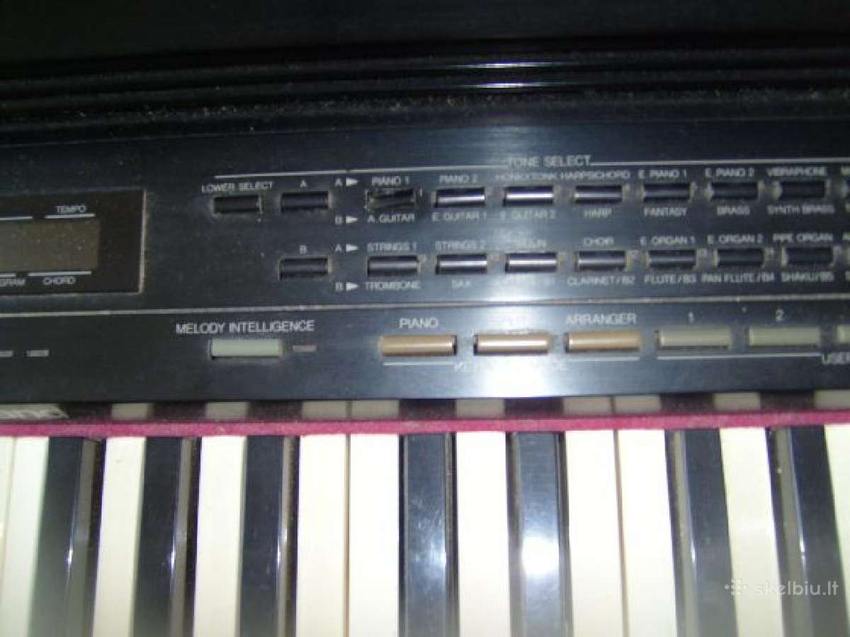 Roland Kr-3000 - nuotraukos Nr. 5