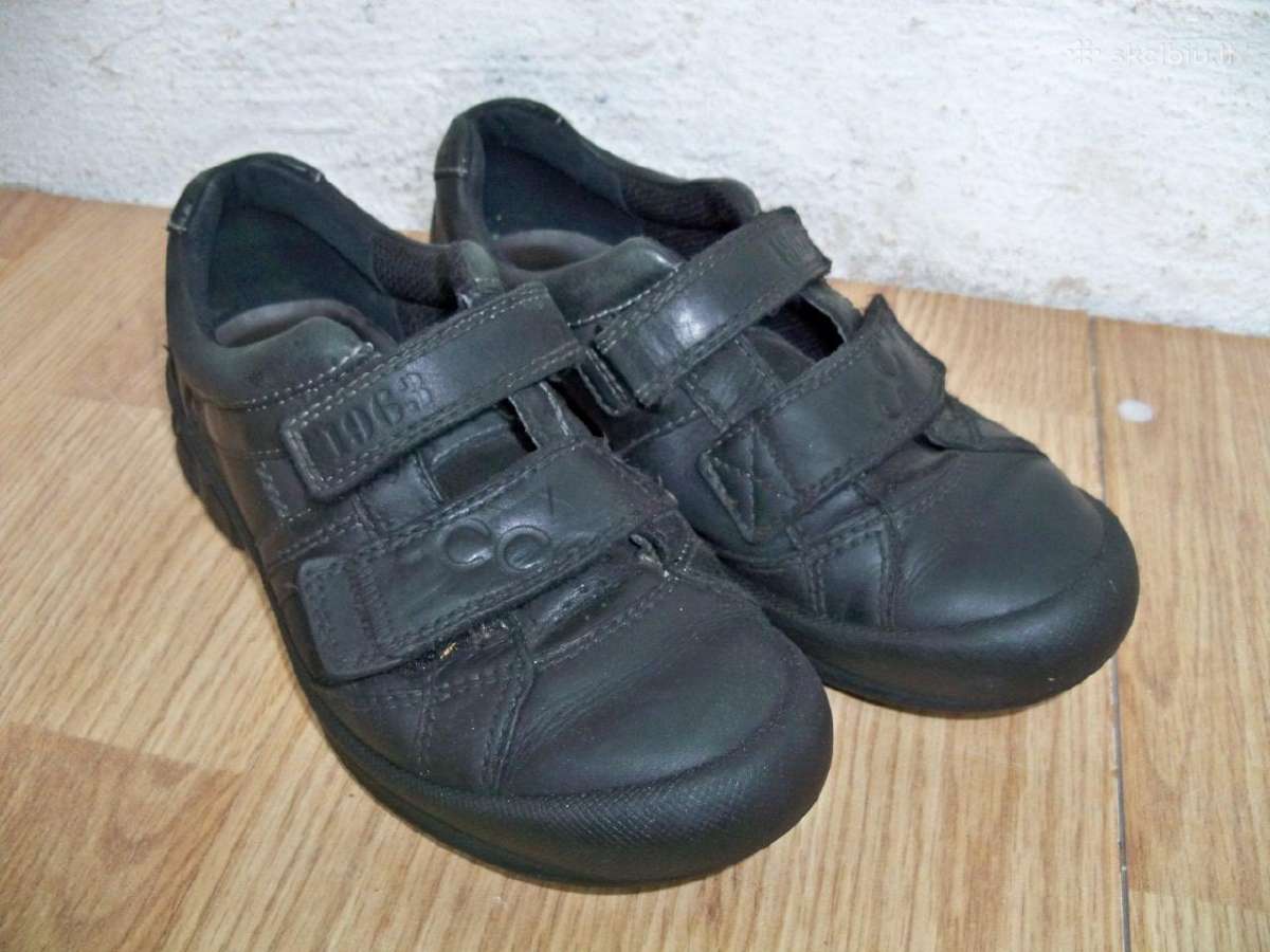 Ecco batukai