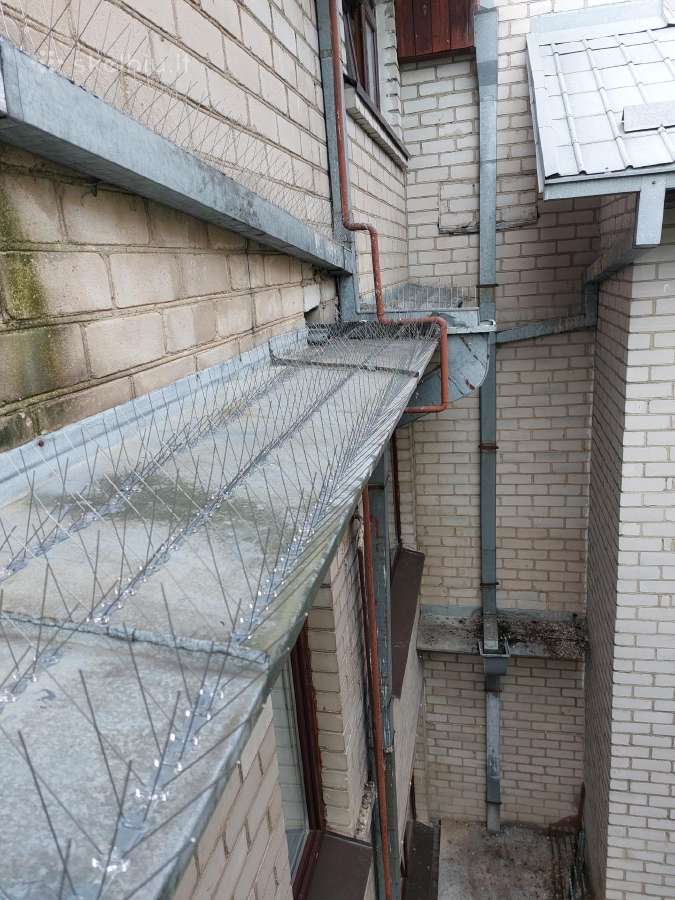 Montuojame spyglius nuo balandžių ar kregždžių.