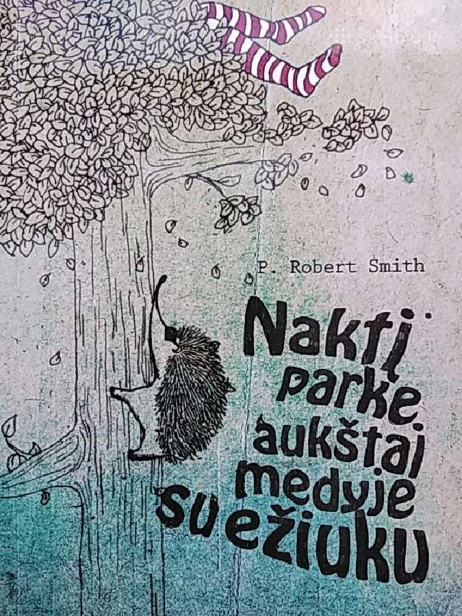 Naktį Parke Aukštai Medyje Su Ežiuku