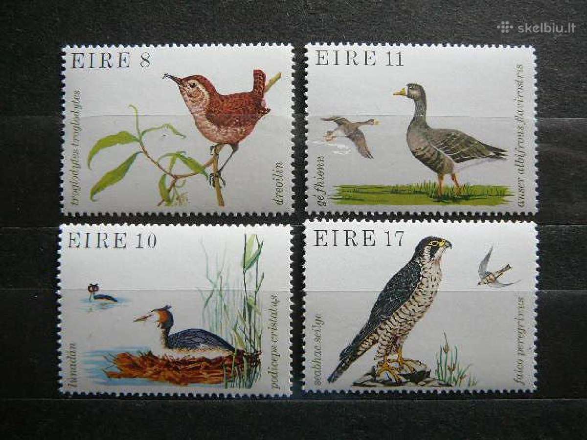 Pauksciai Airija 1979 Mnh il397