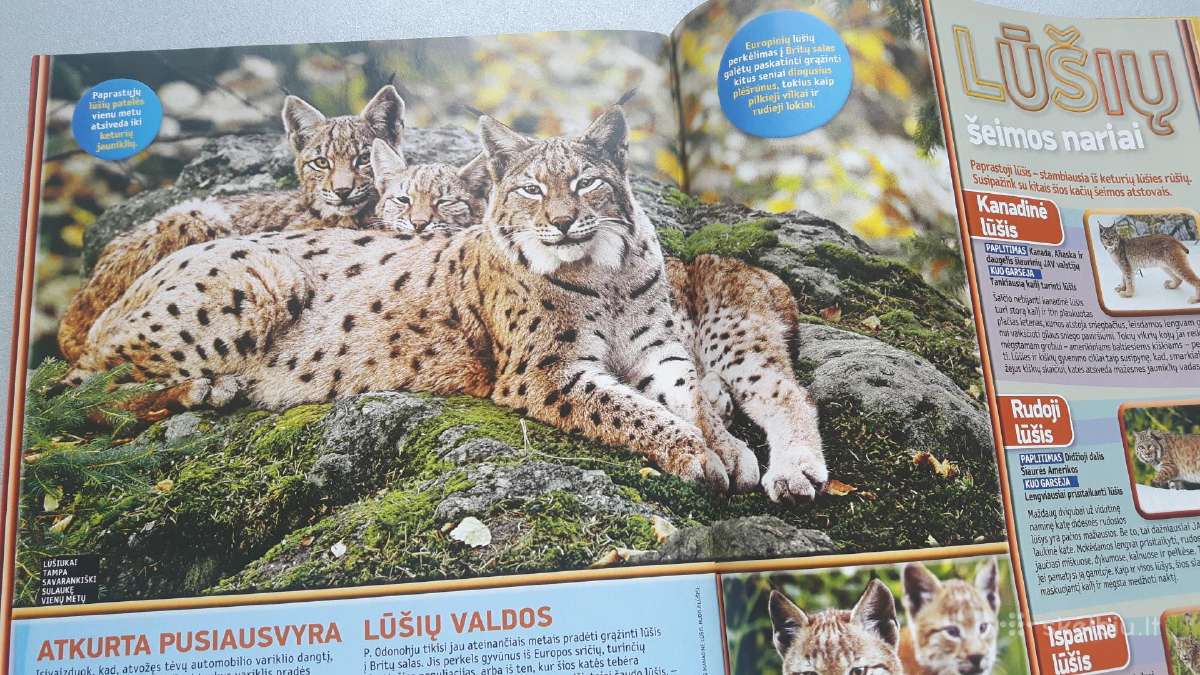 National Geographic Kids - nuotraukos Nr. 4