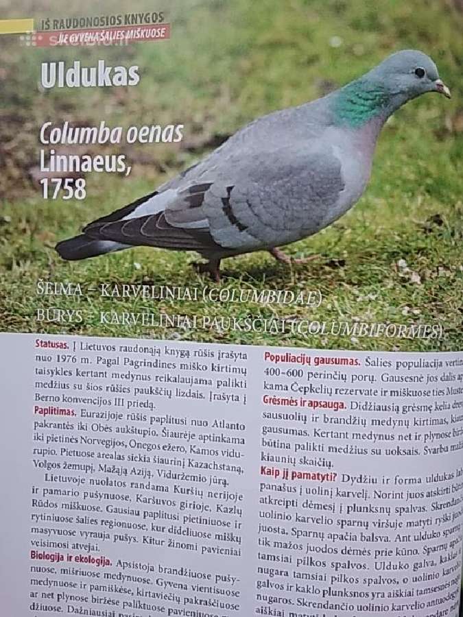 Miškai, 2022 birželis - nuotraukos Nr. 12