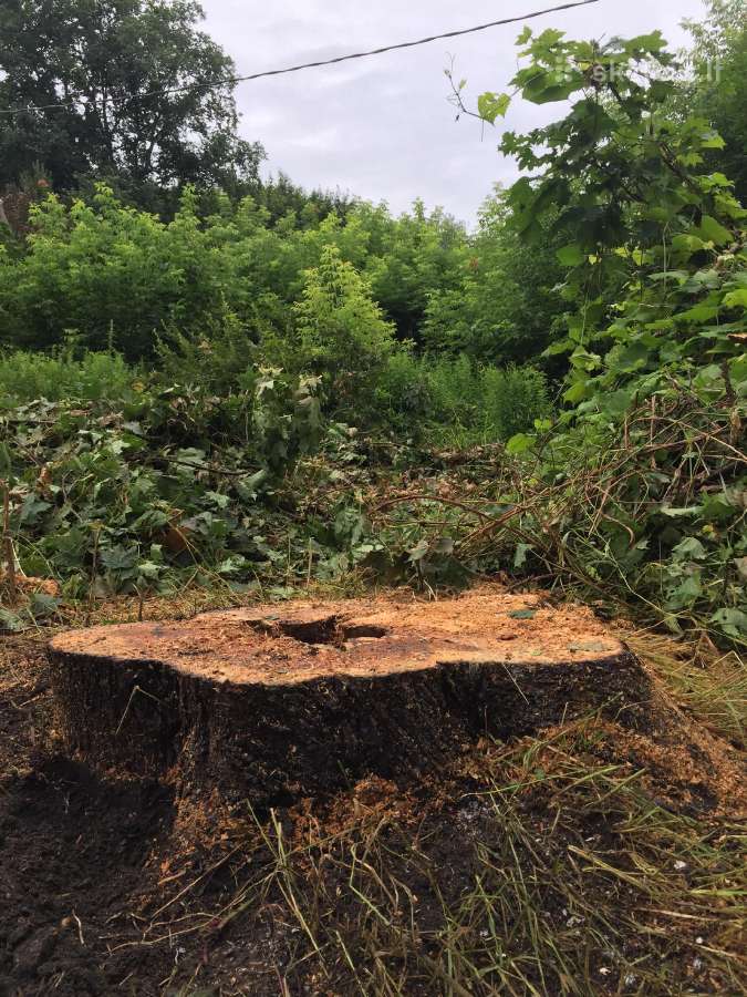 Kelmų naikinimas išfrezuojant - nuotraukos Nr. 20