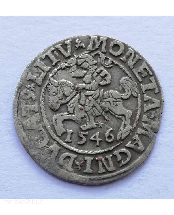 Žygimanto Augusto pusgrašis 1546 .reti metai