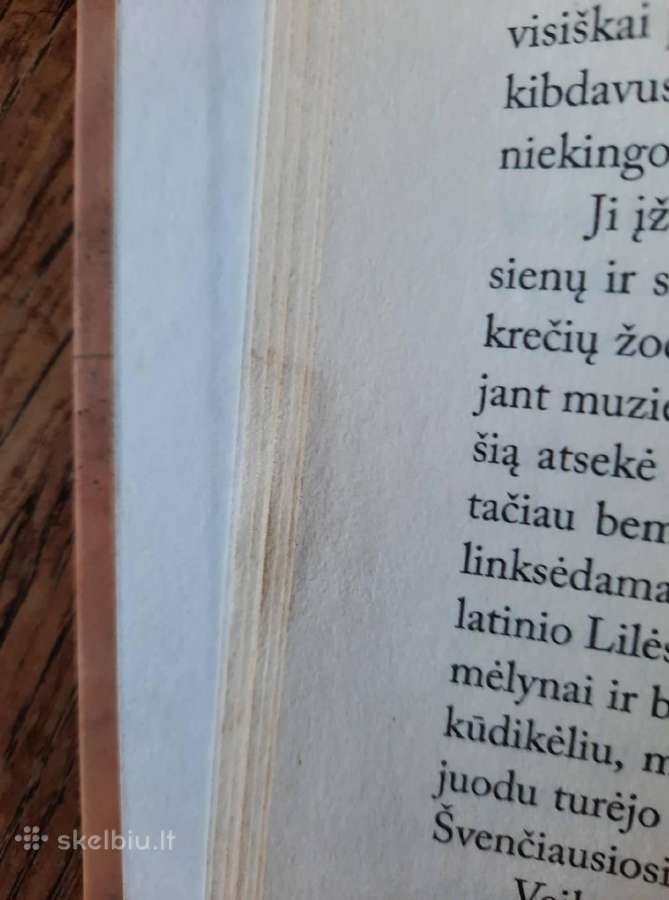 Paskutinis tamplierius - nuotraukos Nr. 7