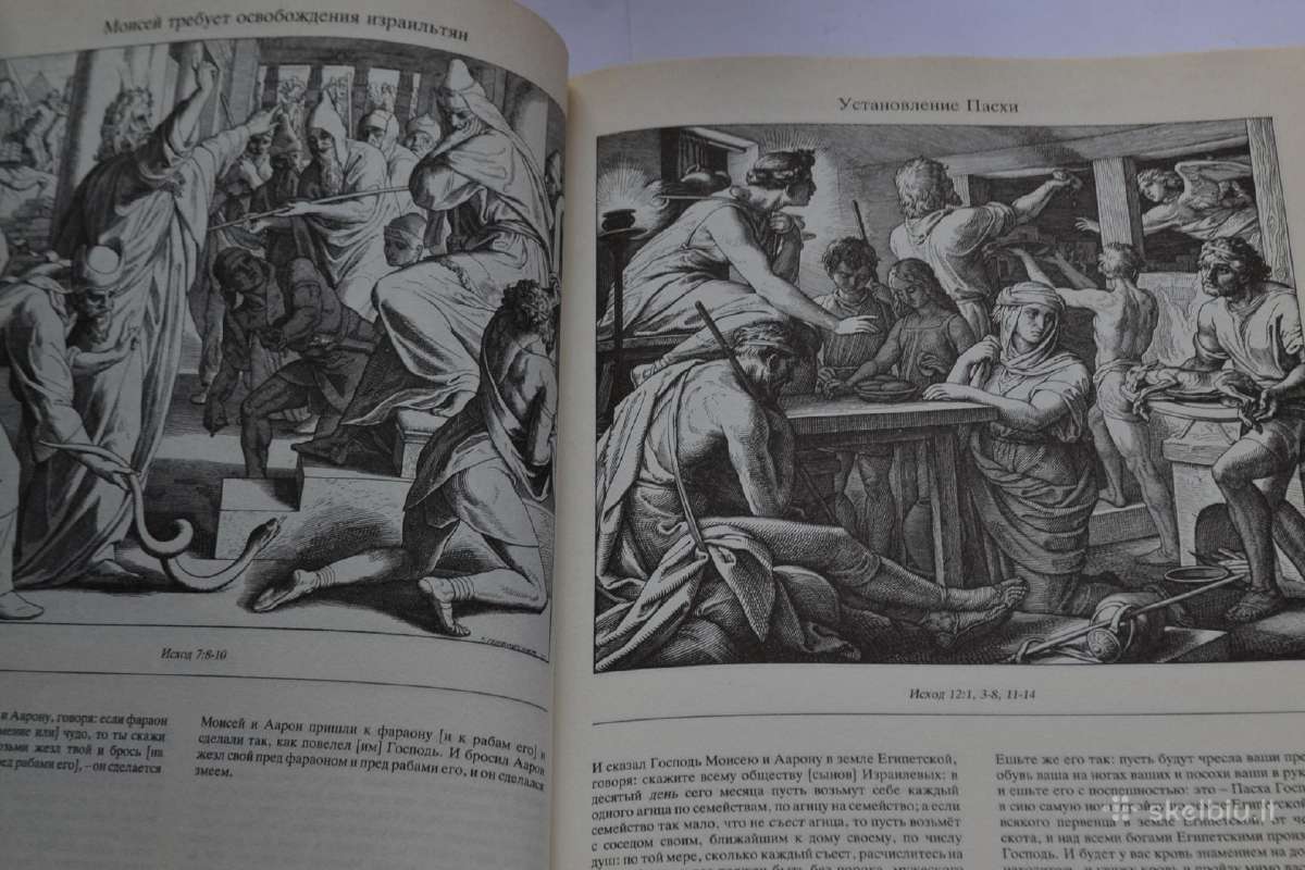 Iliustruota biblija - nuotraukos Nr. 5
