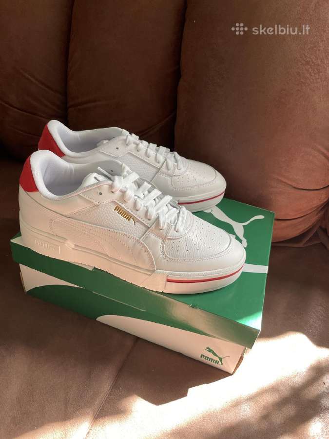 Puma - nuotraukos Nr. 2