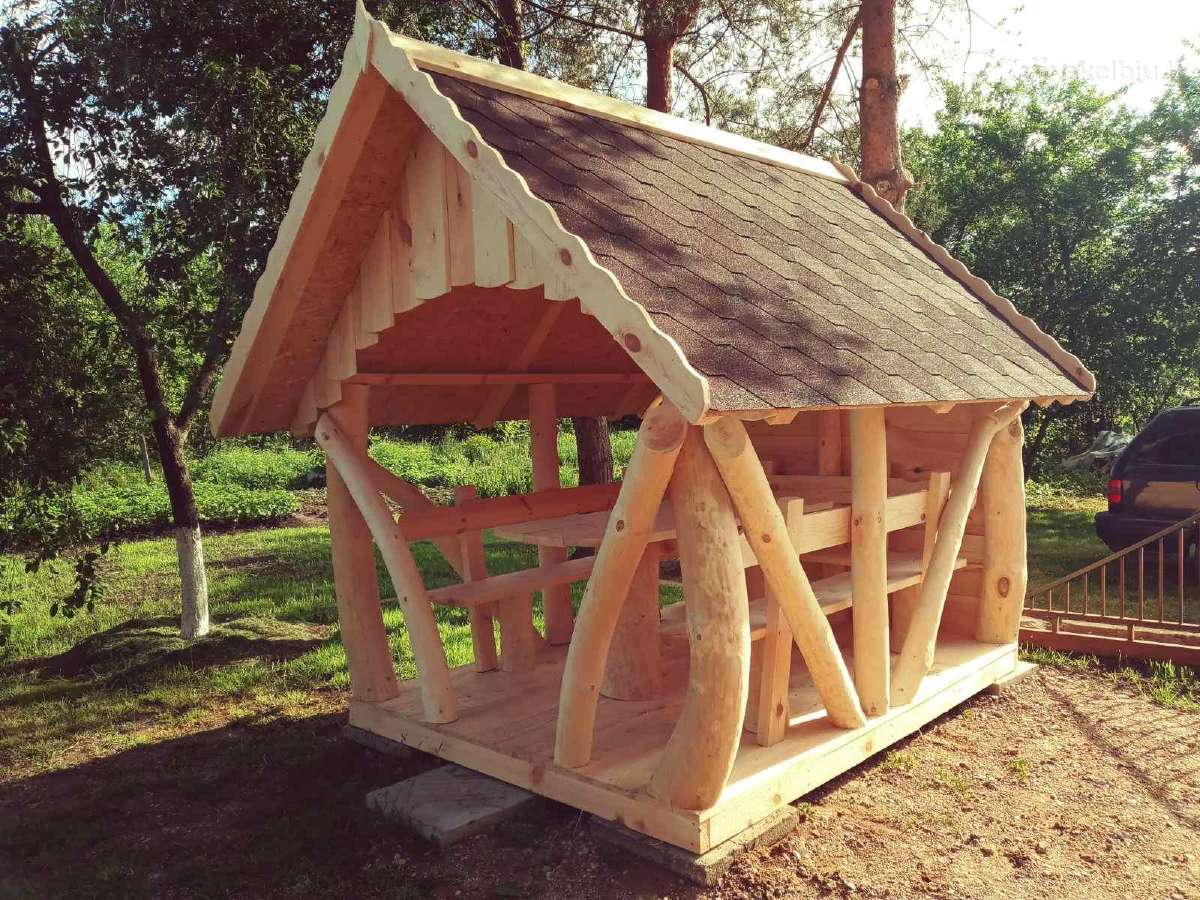 Pavesines is kreivu rastu (kreivuolių) - nuotraukos Nr. 22
