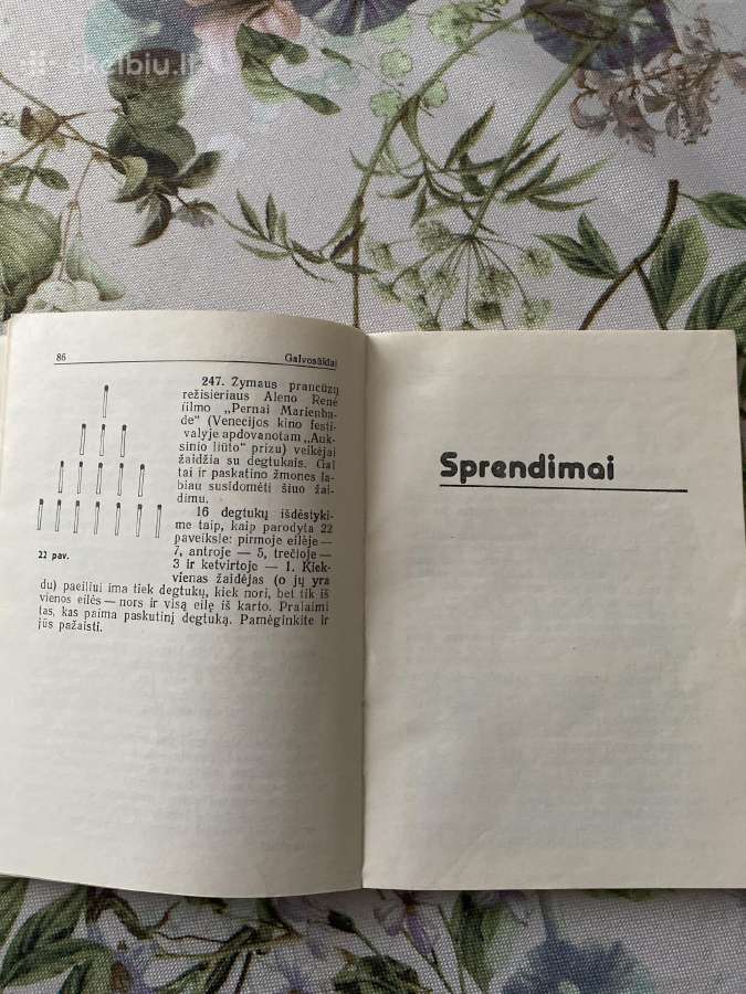Knyga “Matematiniai galvosukiai - nuotraukos Nr. 6
