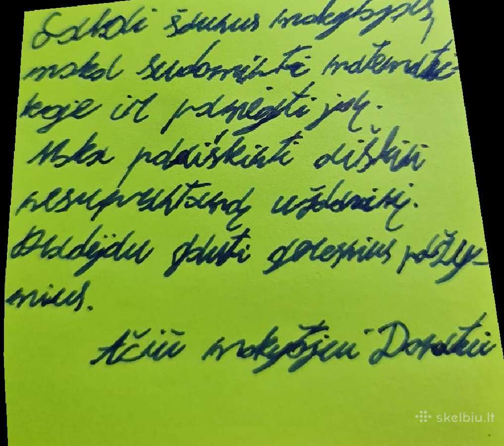 Kviečiu moksleivius ir studentus į sėkmės kelionę! - nuotraukos Nr. 28
