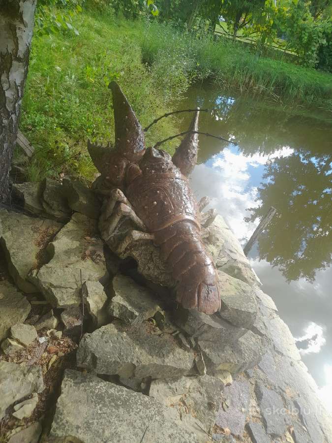 Dekoratyvinis šamotinis vėžys - nuotraukos Nr. 2
