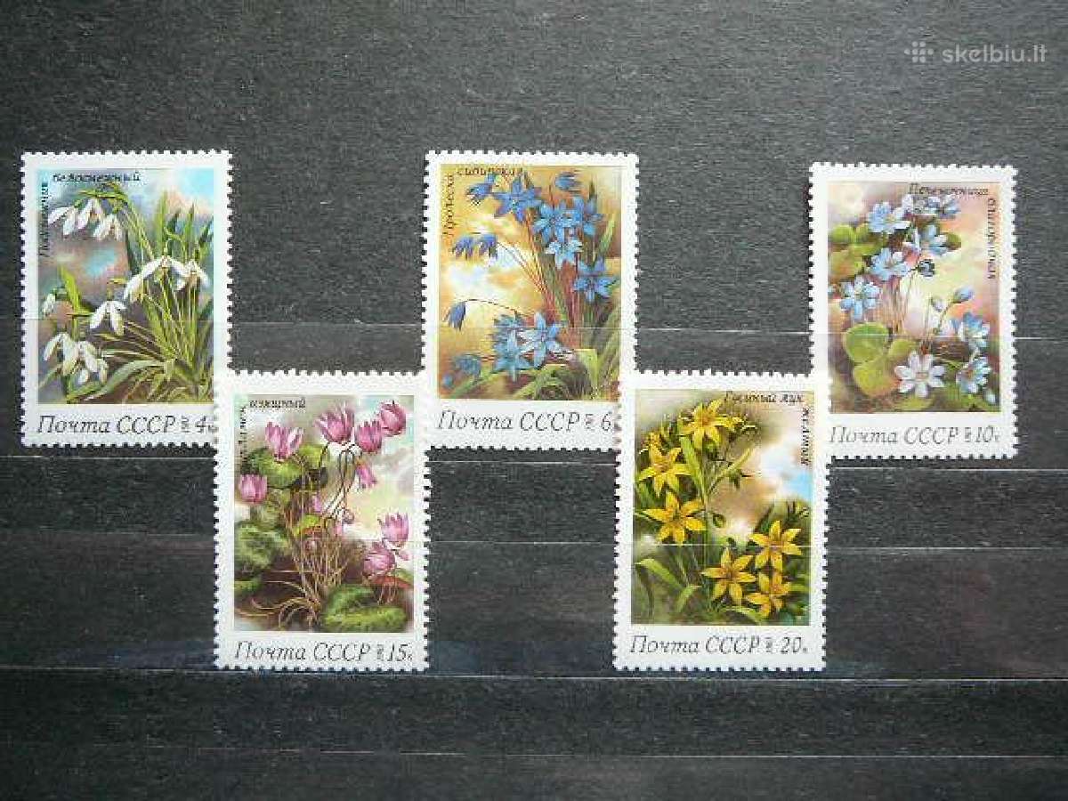 Geles Augalai Ssr 1983 Mnh s5278