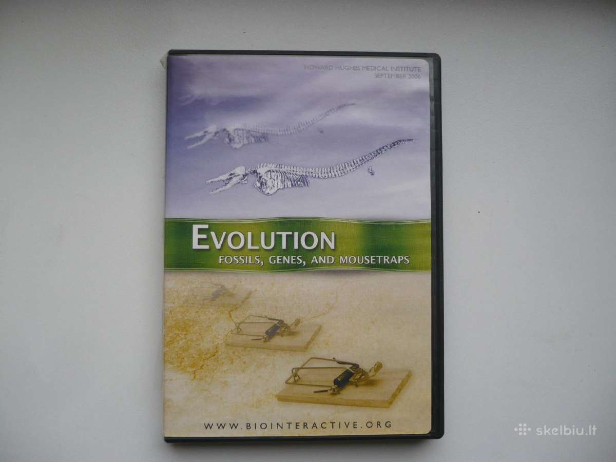 Dvd diskai - nuotraukos Nr. 3