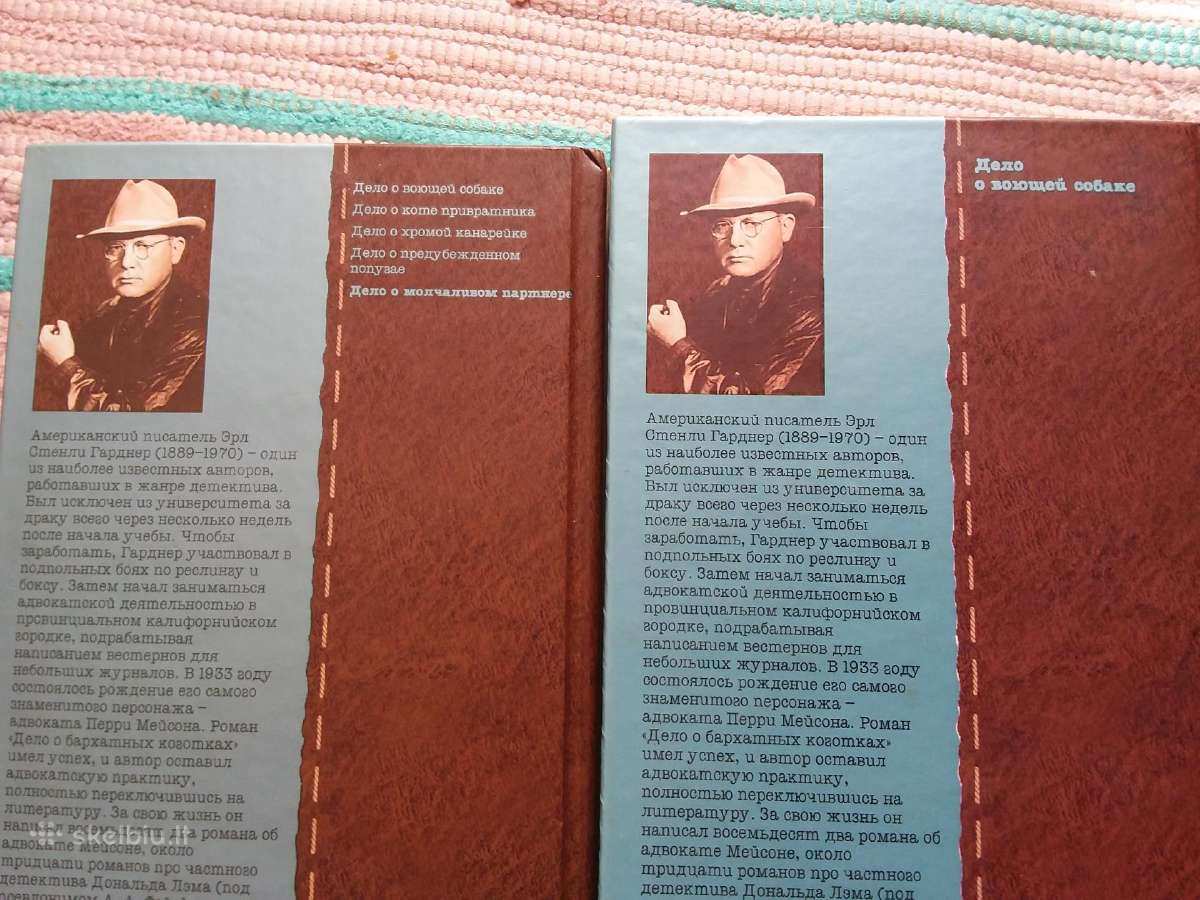 Весь Гарднер. Дело о молчаливом партнере - nuotraukos Nr. 2