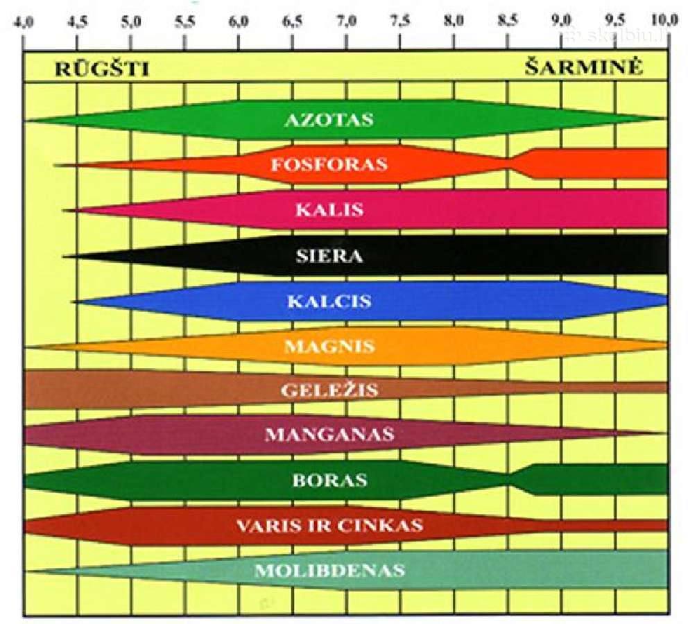 Kalkes dirvai,ž.ūkiui Anykščių, Kupiškio, Utenos r - nuotraukos Nr. 11