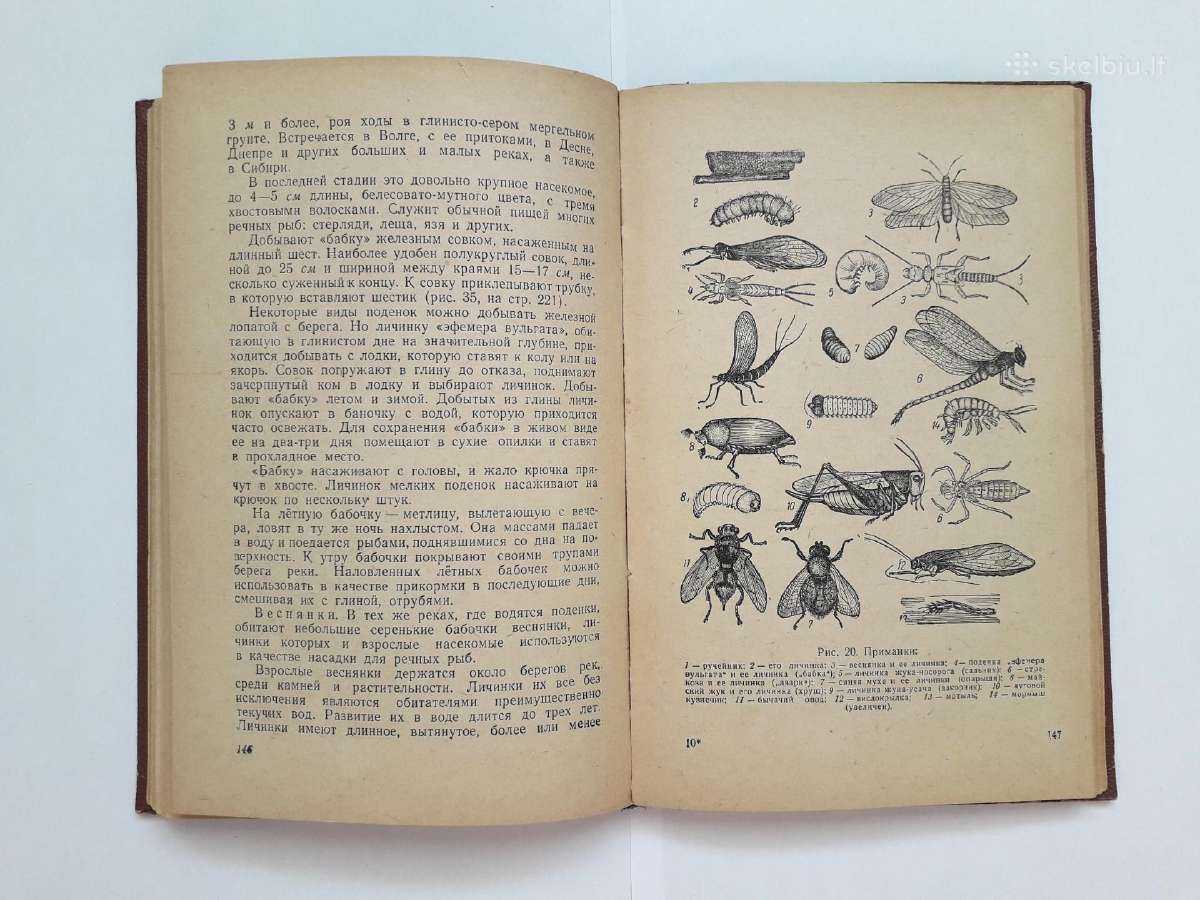 Žūklės klasika - nuotraukos Nr. 20