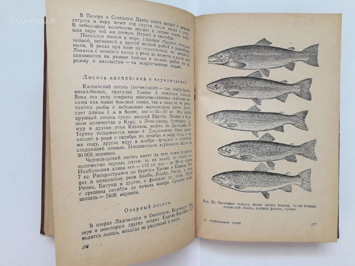 Žūklės klasika - nuotraukos Nr. 25