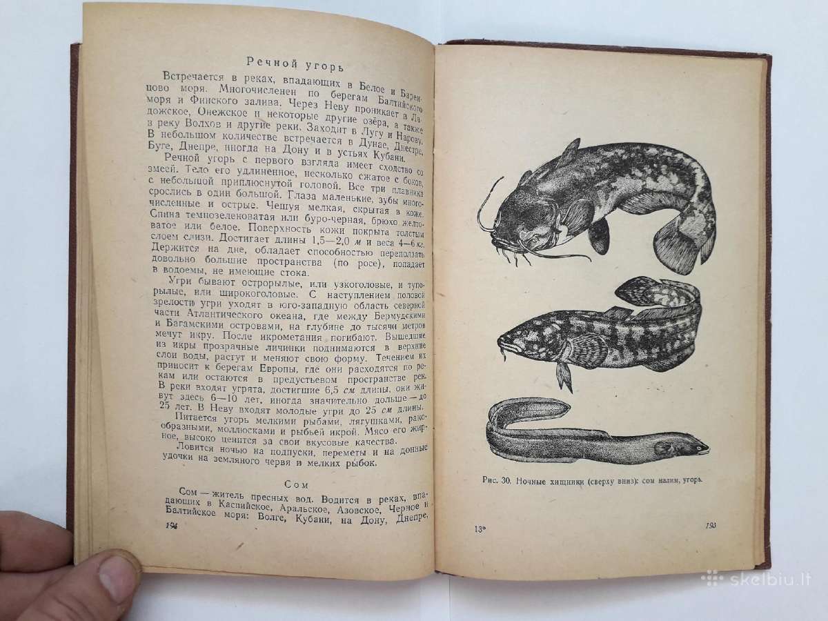 Žūklės klasika - nuotraukos Nr. 27