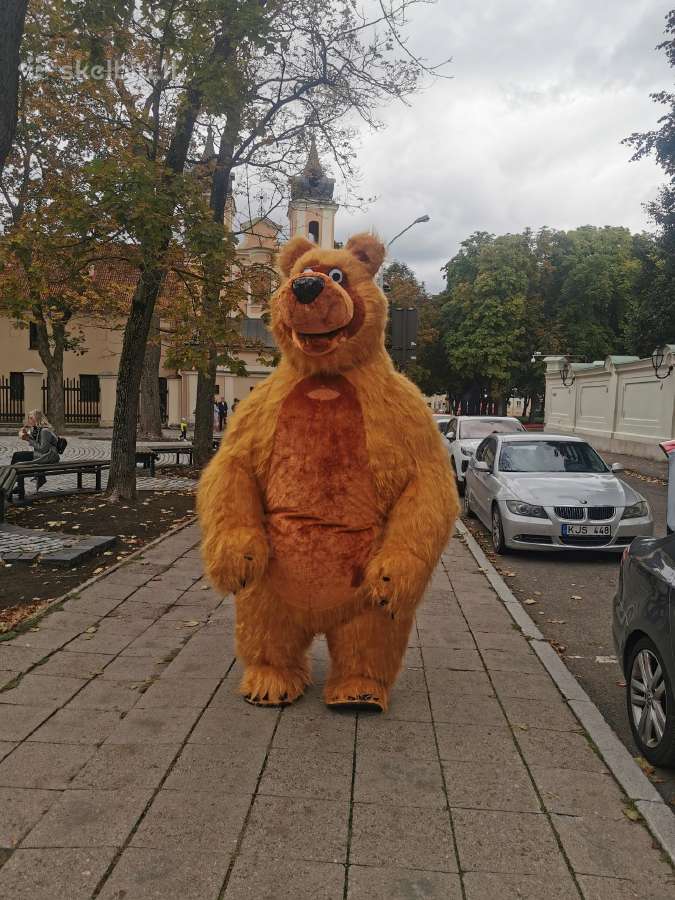 Labubu, Baltos meškos, Pandos ir Lokio sveikinimas - nuotraukos Nr. 5