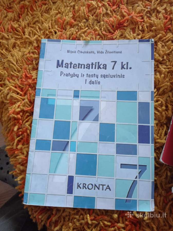 Matematikos vadovėliai prieš egzaminą - nuotraukos Nr. 6