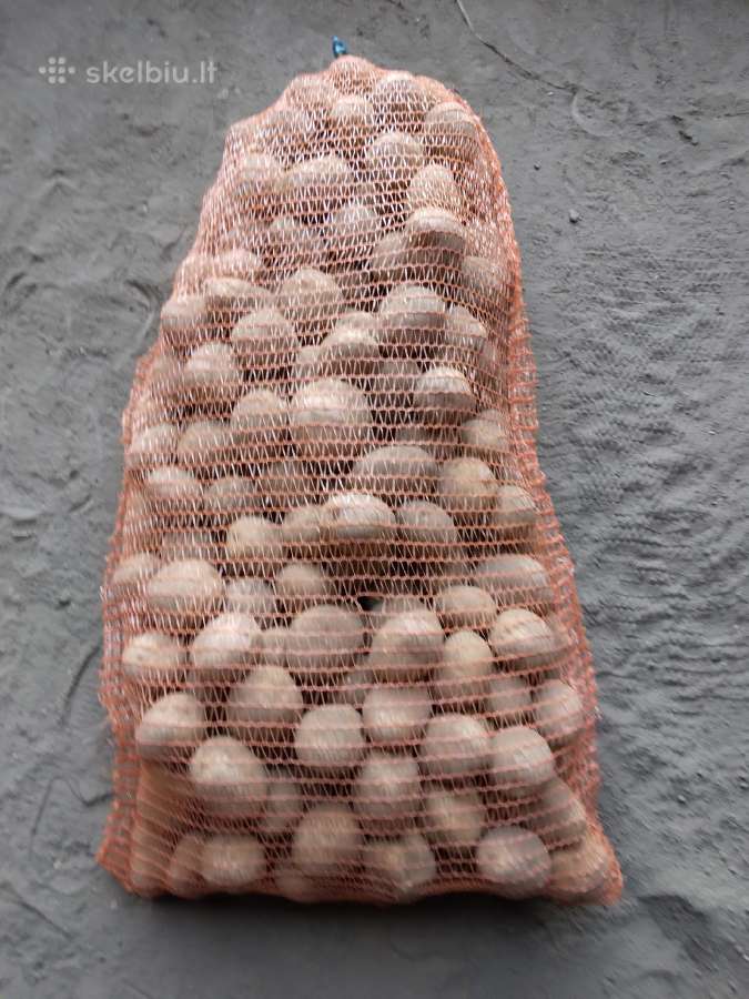 Bulves Marijampole Vilkaviskis pristatau nemokamai - nuotraukos Nr. 10
