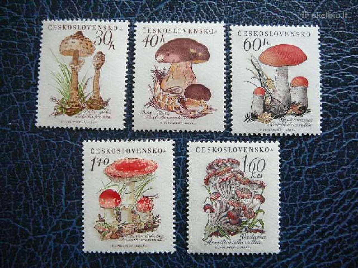 Grybai Cekoslovakija 1958 Mnh ck1101/5