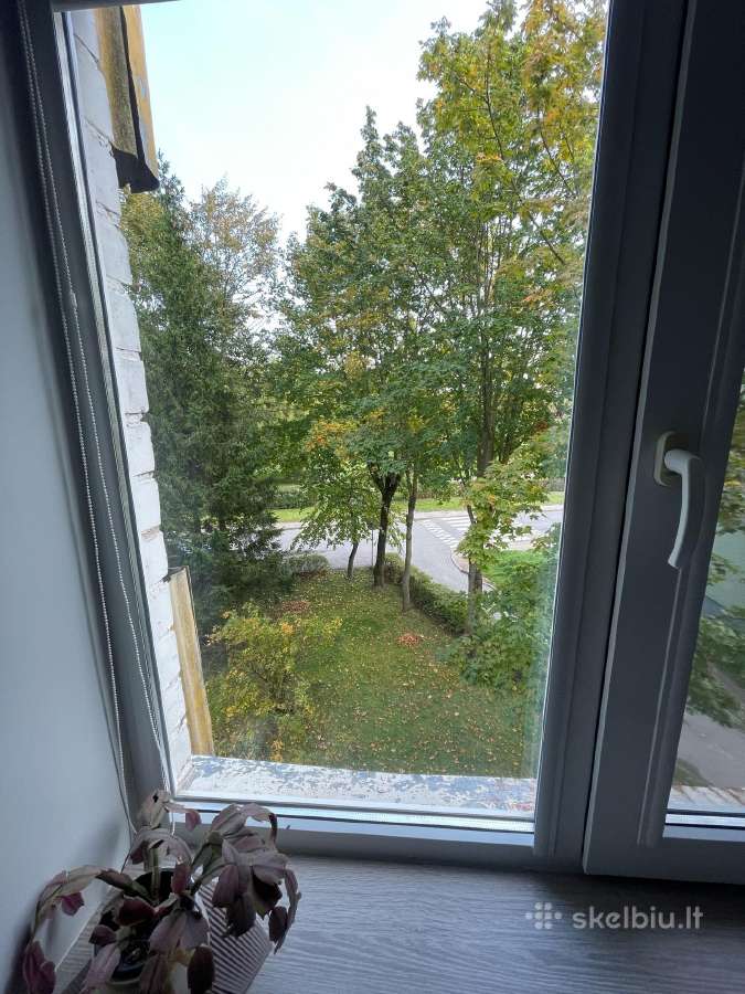 Jaukus labai tvarkingas butas miesto centre - nuotraukos Nr. 7