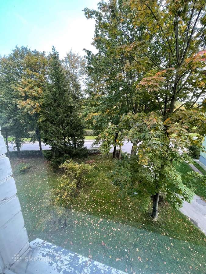 Jaukus labai tvarkingas butas miesto centre - nuotraukos Nr. 8
