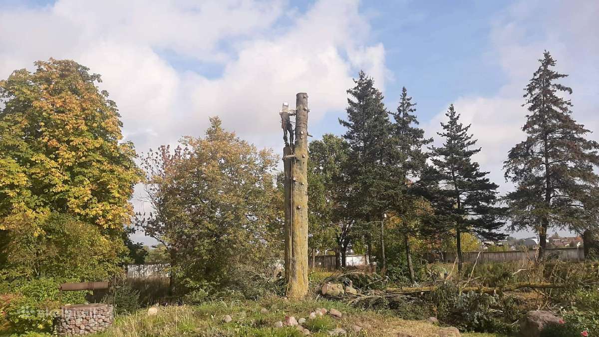 Aukštalipiai,medžių pjovimas,kelmų naikinimas. - nuotraukos Nr. 4