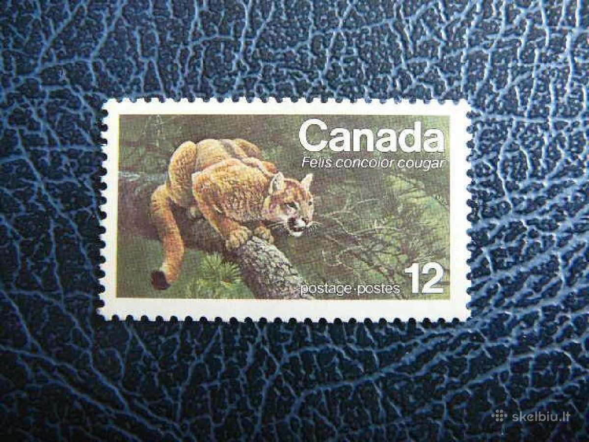 Puma Kates laukines Kanada 1977 Mnh cnd650