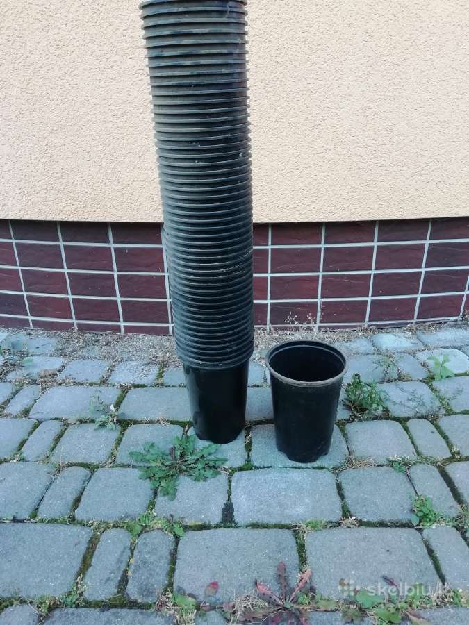 Vazonėliai - nuotraukos Nr. 2