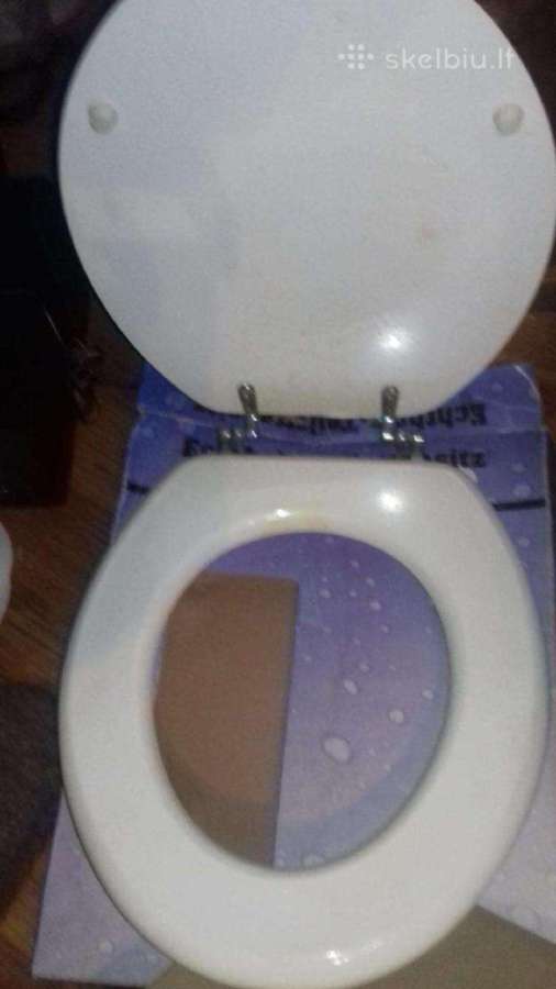 Tualeto unitazo dangtis