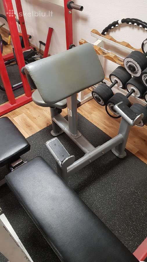 Bicepsų suoliukas
