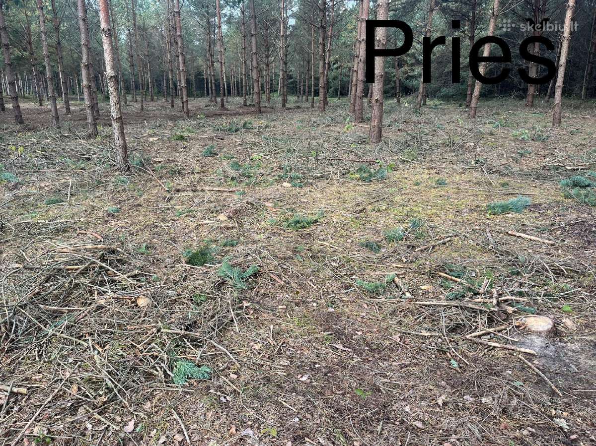 Krūmų naikinimas-šalinimas krūmų smulkintuvu! - nuotraukos Nr. 12
