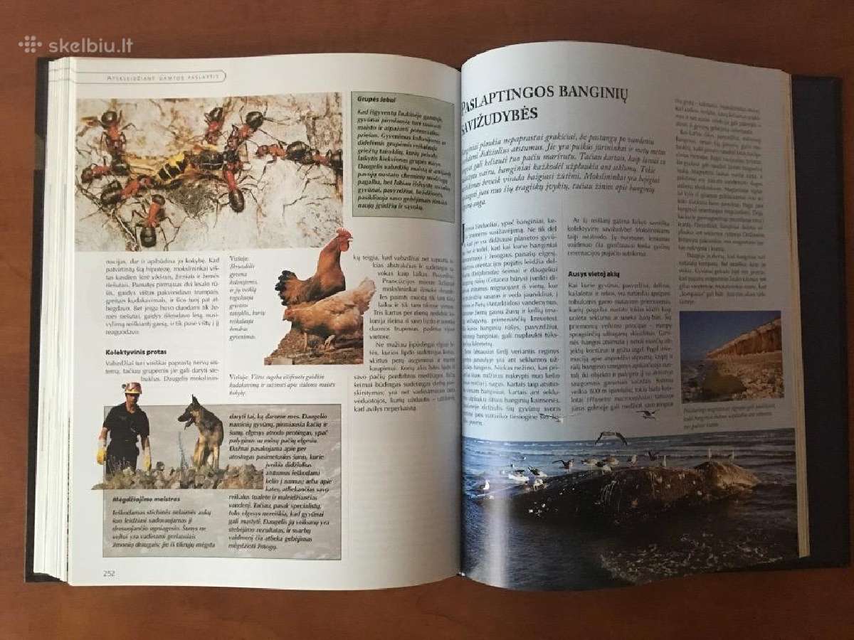 Knyga Paskutinės Pasaulio Paslaptys - nuotraukos Nr. 6