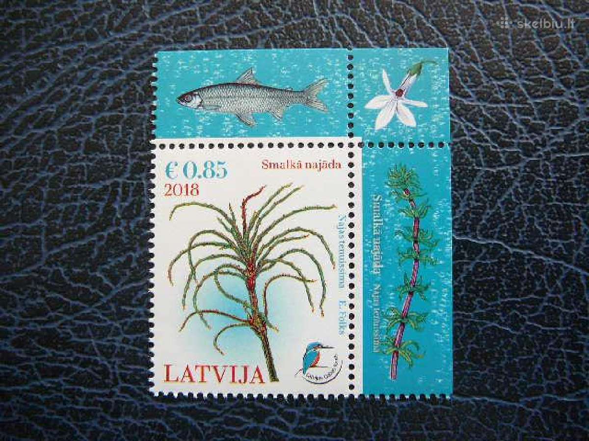 Vandens augalai Latvija 2018 Mnh llt1052