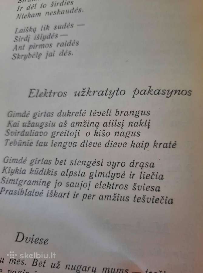 Nusigręžusi žvaigždė (Albinas Bernotas) - nuotraukos Nr. 8