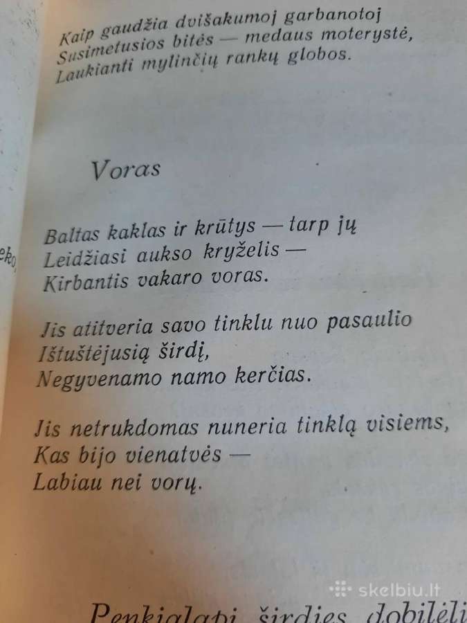 Nusigręžusi žvaigždė (Albinas Bernotas) - nuotraukos Nr. 10
