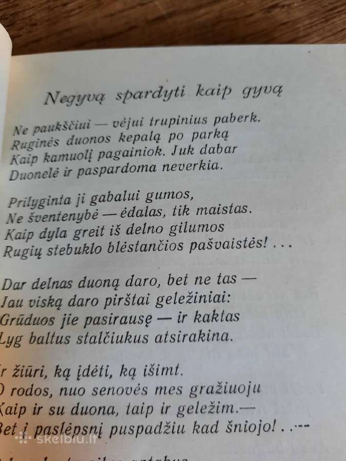 Nusigręžusi žvaigždė (Albinas Bernotas) - nuotraukos Nr. 13