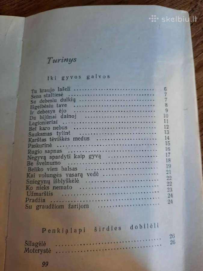 Nusigręžusi žvaigždė (Albinas Bernotas) - nuotraukos Nr. 5