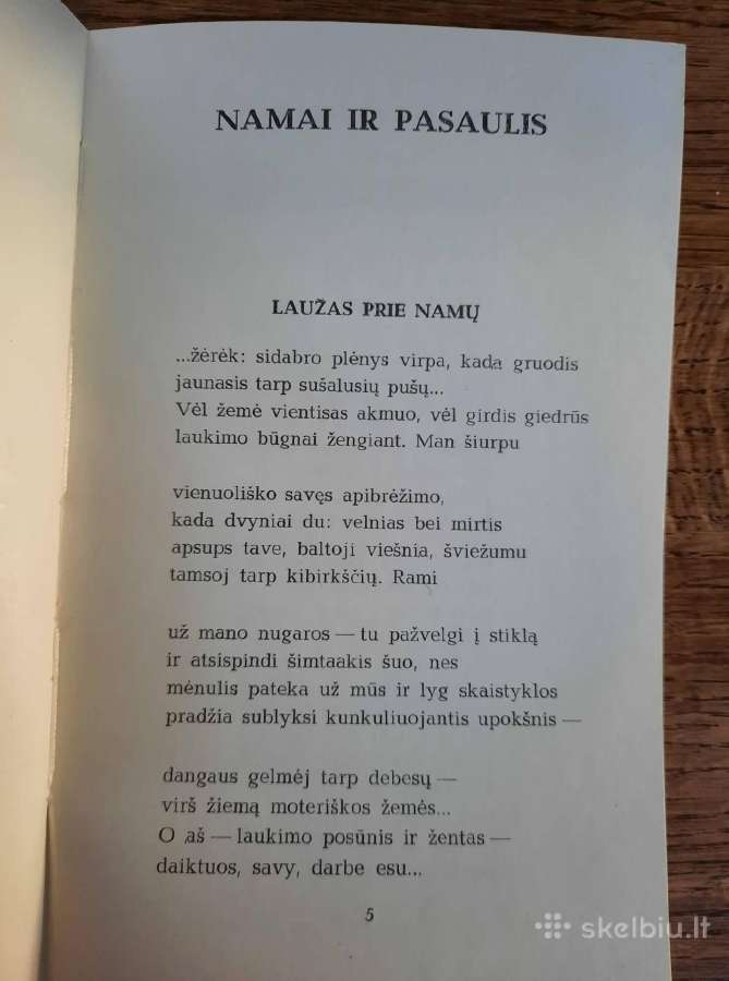 Ramios saulės metai (Ramūnas Kasparavičius) - nuotraukos Nr. 11