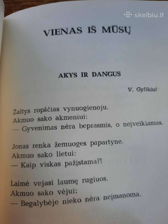 Ramios saulės metai (Ramūnas Kasparavičius) - nuotraukos Nr. 6