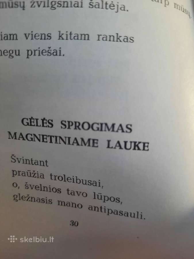 Ramios saulės metai (Ramūnas Kasparavičius) - nuotraukos Nr. 7