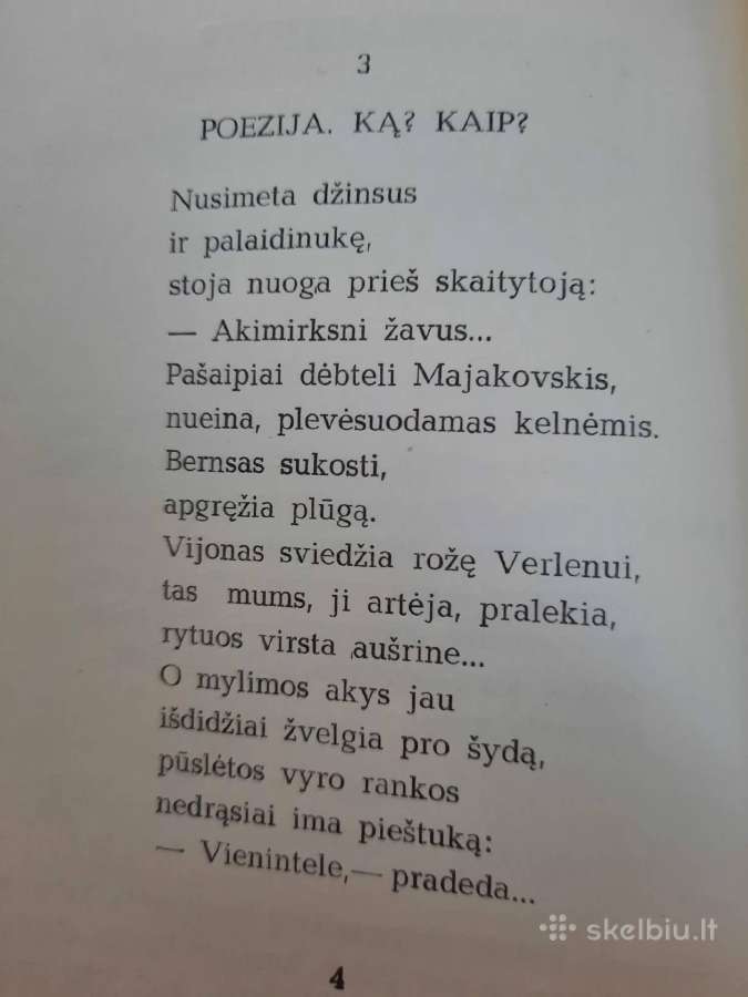 Ramios saulės metai (Ramūnas Kasparavičius) - nuotraukos Nr. 8