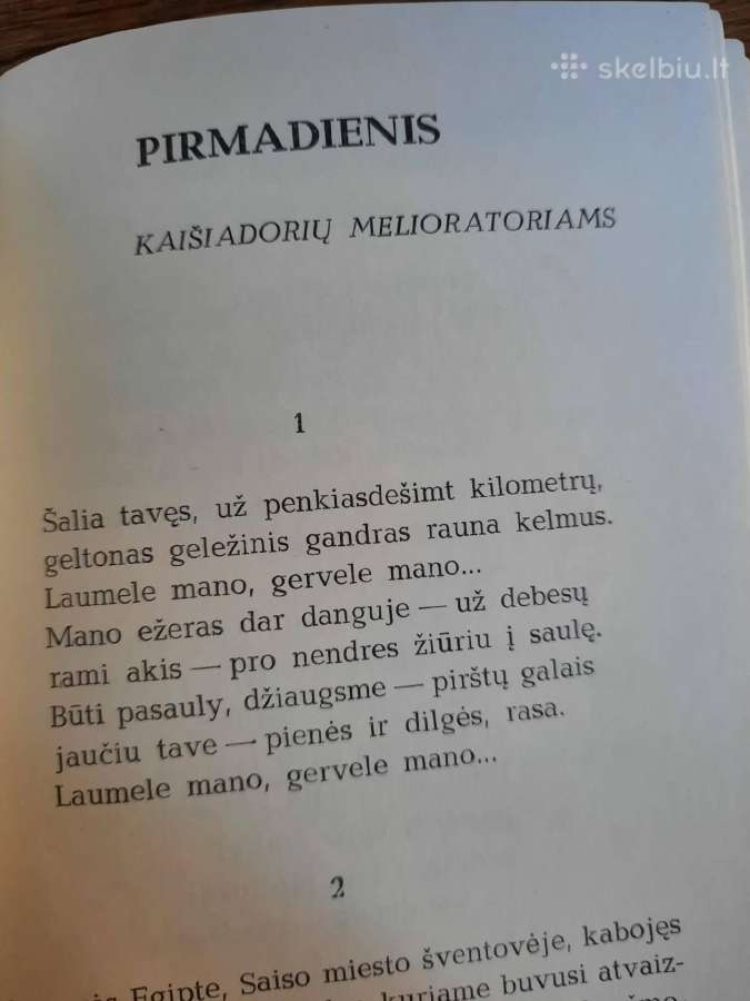 Ramios saulės metai (Ramūnas Kasparavičius) - nuotraukos Nr. 9