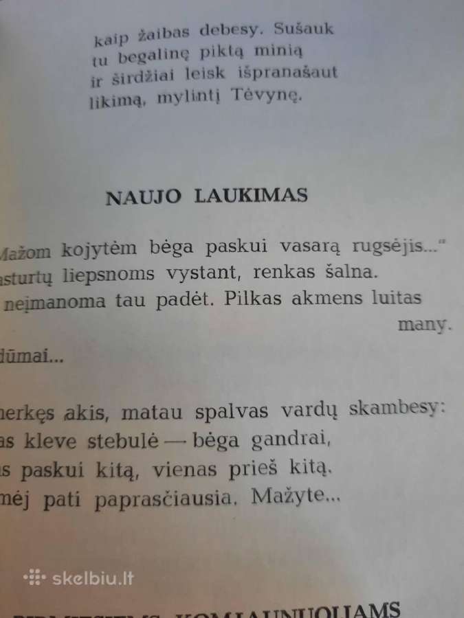 Ramios saulės metai (Ramūnas Kasparavičius) - nuotraukos Nr. 10