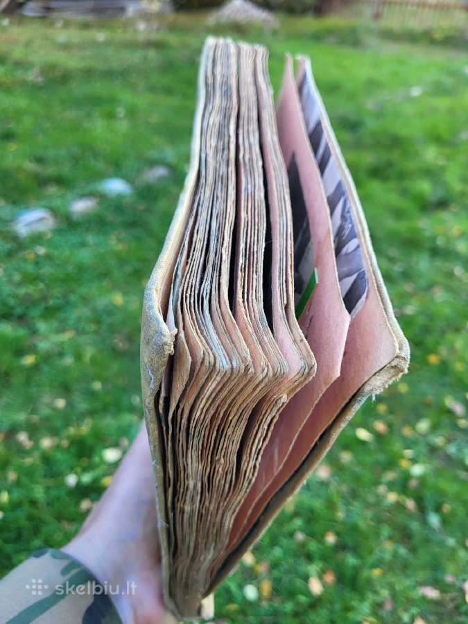 Pilnas albumas. Krepsiniu fanatams. - nuotraukos Nr. 2